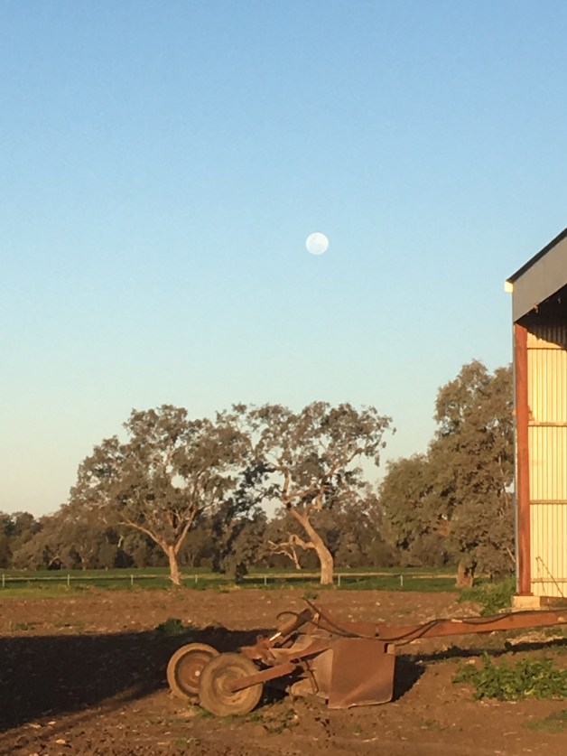 4CA3ABB5-8A2F-433D-A130-BD009190AECC